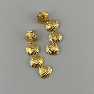 Hara Shell Studs