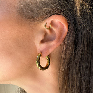 Groß Chunk Hoops